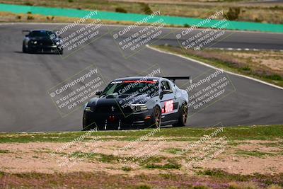 media/Feb-25-2024-Speed Ventures (Sun) [[b9a2a97a4d]]/Mustang Drivers Club/Session 3 (Turn 2)/